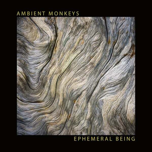 Cover art for Ephemeral Being